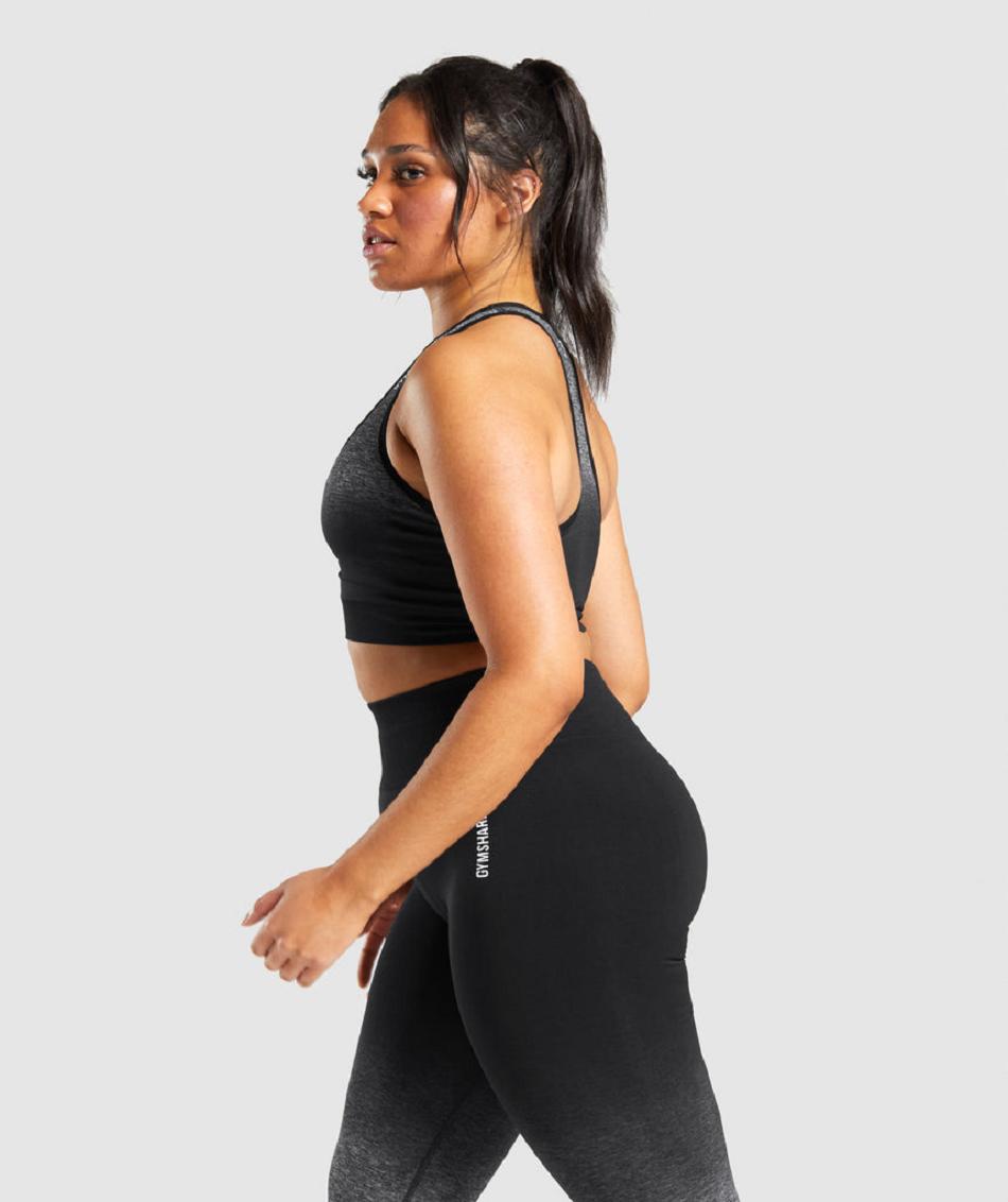 Gymshark Adapt Ombre Seamless Ženske Sportski Grudnjak Crne Crne | HR 3306AHK